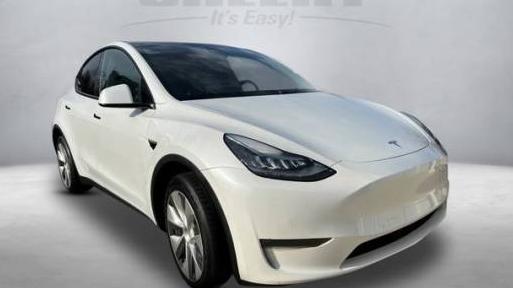 TESLA MODEL Y 2020 5YJYGDEE7LF043783 image